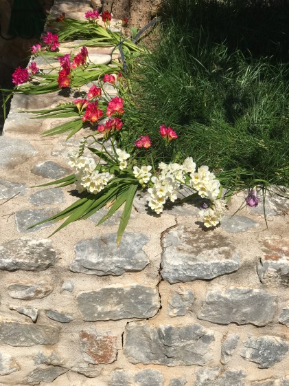 ΦΩΤΟ IPHONE 3372